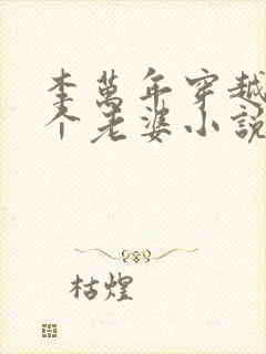 李万年穿越娶三个老婆小说