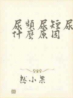 尿频尿短尿黄是什么原因