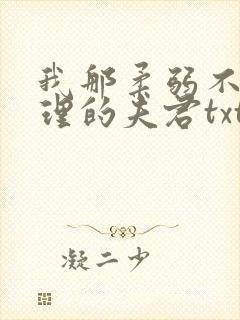 我那柔弱不能自理的夫君txt