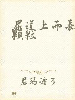 尿道上面长了小颗粒