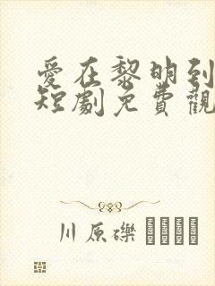 爱在黎明到来前短剧免费观看全集高清