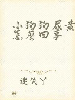 小狗狗尿黄尿是怎么回事