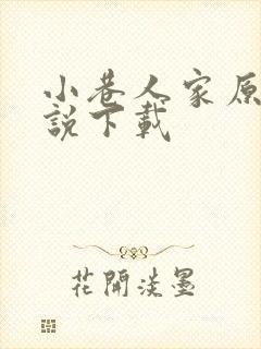 小巷人家原著小说下载