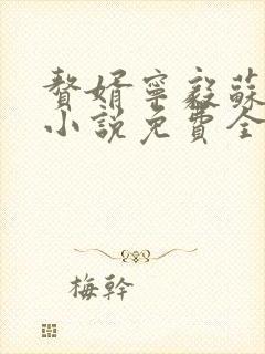 赘婿宁毅苏檀儿小说免费全本阅读