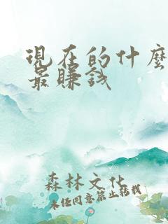 现在的什么行业最赚钱