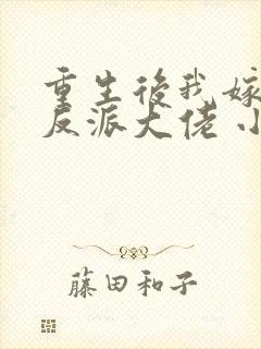 重生后我嫁给了反派大佬 小说