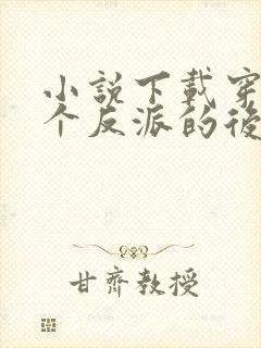 小说下载穿成五个反派的后娘