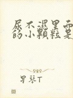 尿不湿里面白色的小颗粒是什么