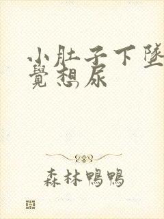 小肚子下坠胀感觉想尿