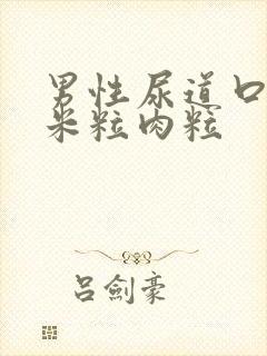 男性尿道口长小米粒肉粒