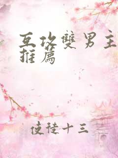 互攻双男主小说推荐