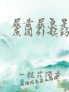 尿黄尿急是什么原因引起的