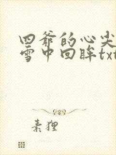 四爷的心尖宠妃雪中回眸txt下载
