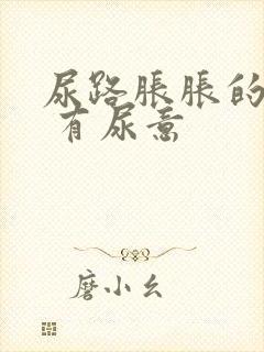 尿路胀胀的感觉 有尿意