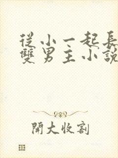 从小一起长大的双男主小说推荐