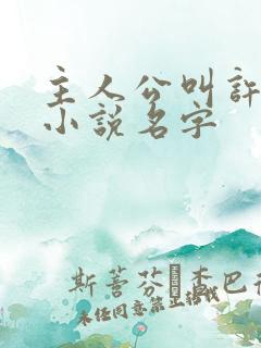 主人公叫许安的小说名字
