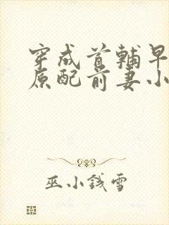 穿成首辅早逝的原配前妻小说