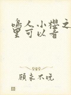 鸣人小樱之夜哪里可以看