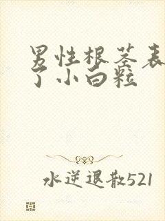 男性根茎表皮长了小白粒