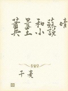 萧晨和苏晴全能兵王小说