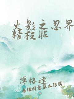 火影之忍界闪光精校版