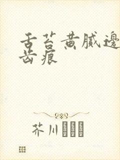 舌苔黄腻边上有齿痕