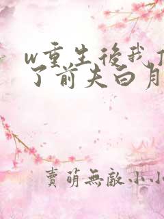 w重生后我顶替了前夫白月光》小说