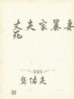 丈夫家暴妻子致死