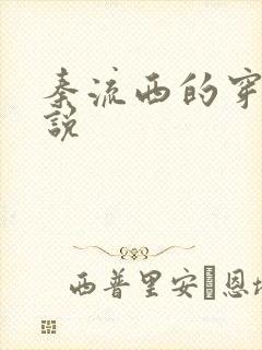 秦流西的穿越小说