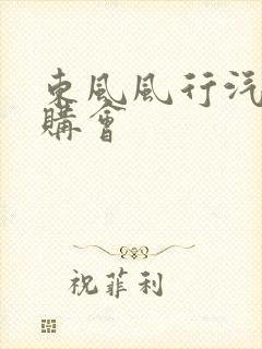 东风风行汽车团购会