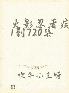 火影忍者疾风传1到720集