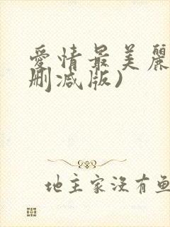 爱情最美丽(未删减版)
