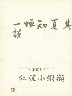 一蝉知夏其他小说
