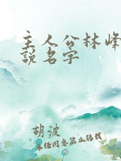 主人公林峰的小说名字