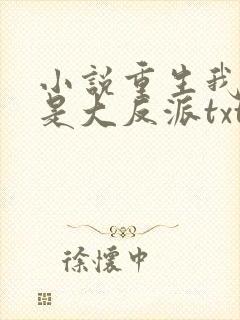 小说重生我居然是大反派txt