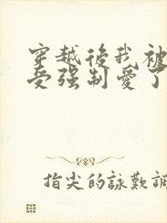 穿越后我被主角受强制爱了