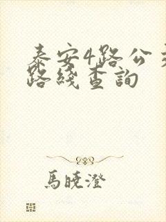 泰安4路公交车路线查询