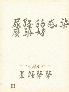 尿路的感染吃什么药好