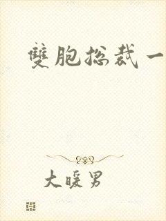 双胞总裁一个妻