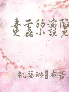 妻子的沦陷王天史磊小说免费阅读