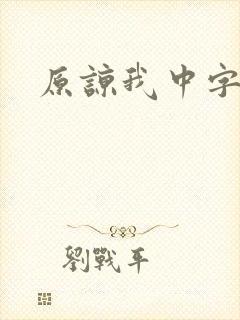 原谅我中字