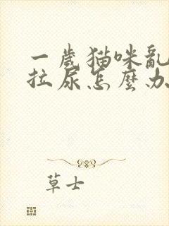 一岁猫咪乱拉屎拉尿怎么办