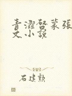 青涩启蒙张勇全文小说