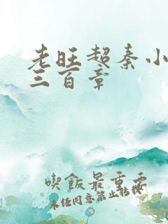 老旺超秦小雨第三百章