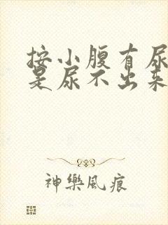 按小腹有尿意但是尿不出来