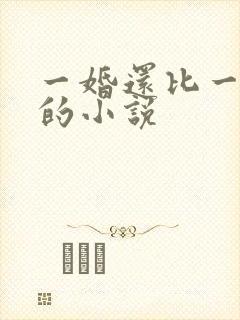 一婚还比一婚高的小说