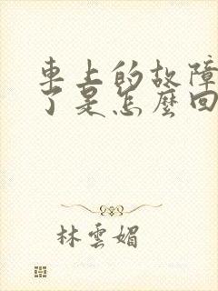 车上的故障灯亮了是怎么回事