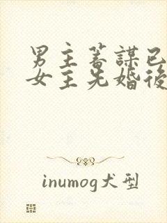 男主蓄谋已久,女主先婚后爱