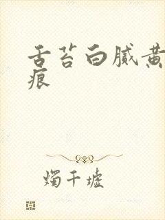 舌苔白腻黄有齿痕