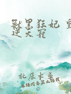 兽黑狂妃 皇叔逆天宠